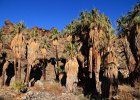 Day 2, Indian Canyons